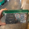 christmas string lights​
