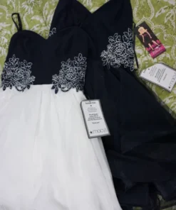 fancy fancy dresses​