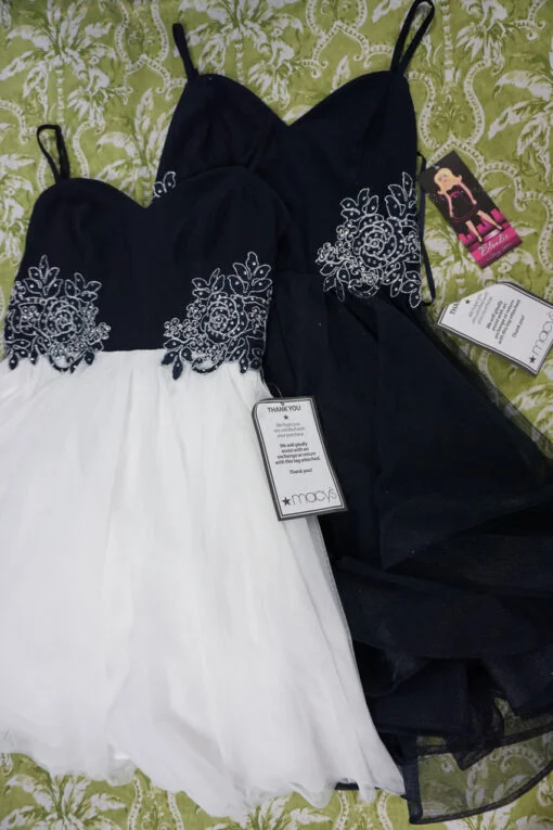 fancy fancy dresses​